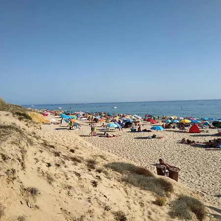T1 Salgados - Touch The Sea And The Green *
